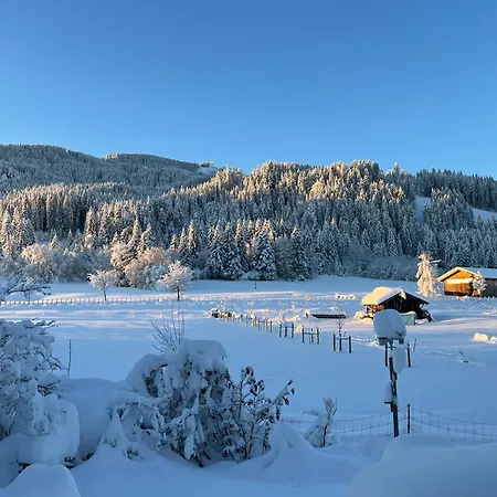 Beim Patzelt - Ferienhaus In Nesselwang Buitenkant foto