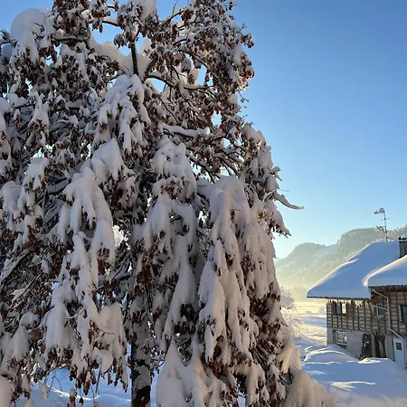 Beim Patzelt - Ferienhaus In Nesselwang Buitenkant foto
