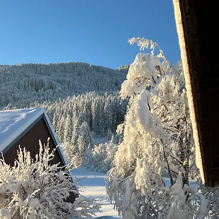 Beim Patzelt - Ferienhaus In Nesselwang Buitenkant foto