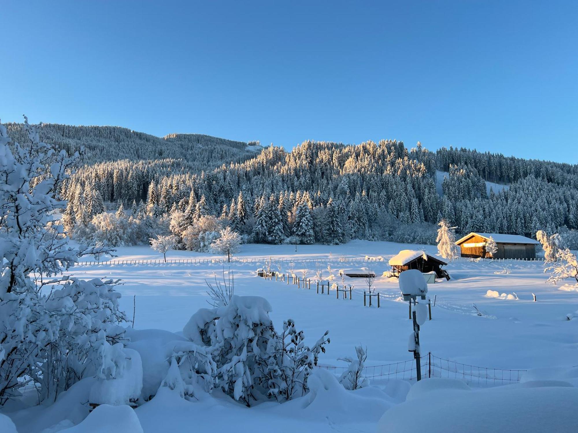 Beim Patzelt - In * Nesselwang